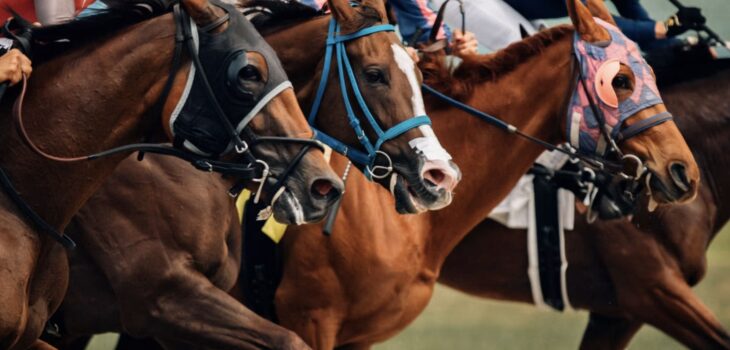 what does bar mean in horse betting